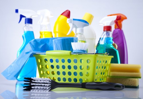 Professional stain removal service for carpets in an Islington home