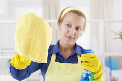 Professional one off cleaning service in Islington for homes and flats