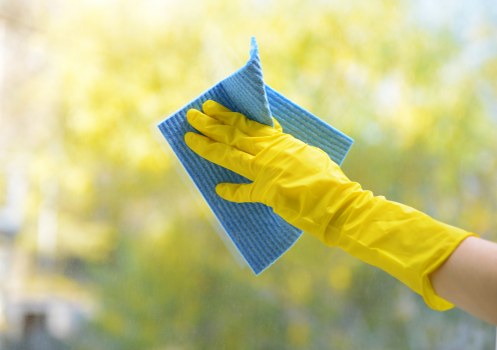 Regular cleaning service for an Islington home interior