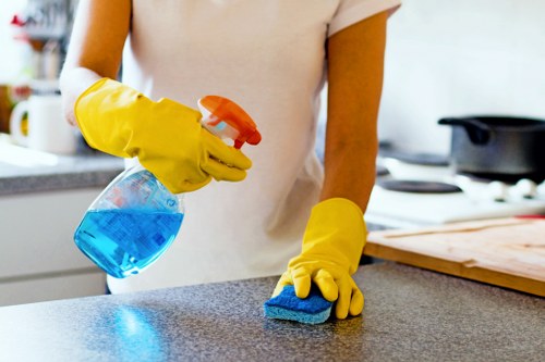Recurring cleaning checklist for a property in Islington