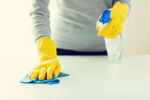 Deep cleaning treatment for a wool rug in a local property