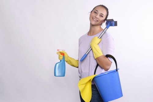 Detailed property cleaning service for tenants and landlords in Islington