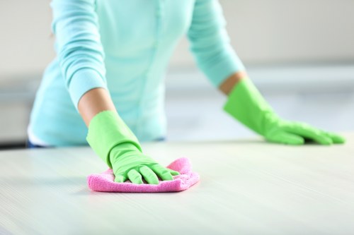 Cleaner Islington professional completing a careful and safe cleaning task
