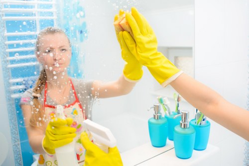 Professional cleaner in Islington maintaining a tidy home