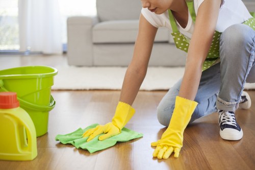 Deep cleaning an oven and trays in a local Islington home