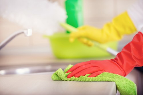 Deep cleaning treatment for lingering pet smells in a flat